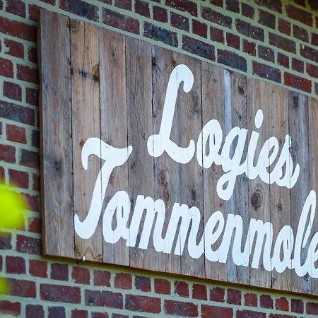 Logies Tommenmolen Apartment Grimbergen Luaran gambar